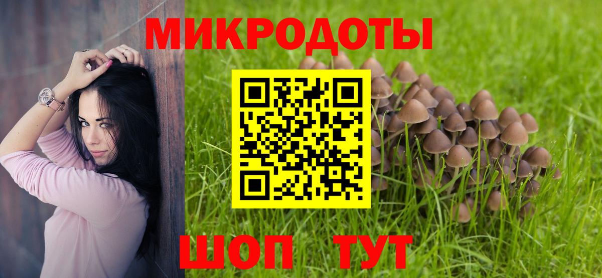 Псилоцибиновые грибы мицелий Кузнецк