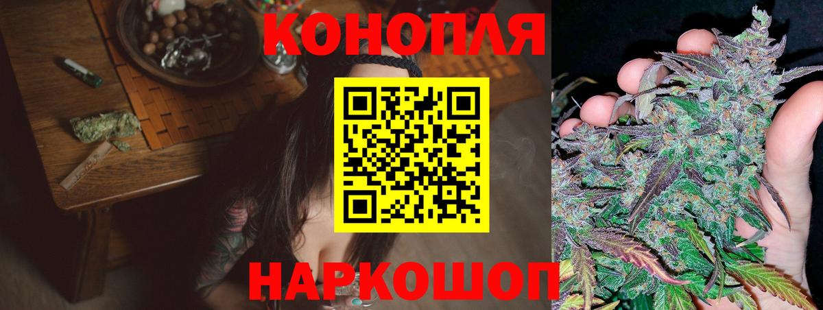 Каннабис план  Шишки марихуана THC 21%  Кузнецк  Бошки марихуана планчик  Вход с VPN 